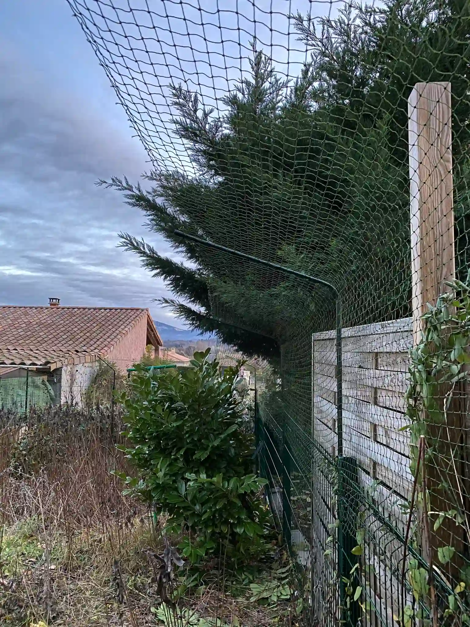 Filets de Protection pour Chats AntiChute & AntiFugue Tiger — free download